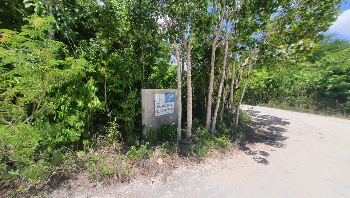 Abedules y Cipres Alamos II 2022-07-28 at 12.11.19 PM