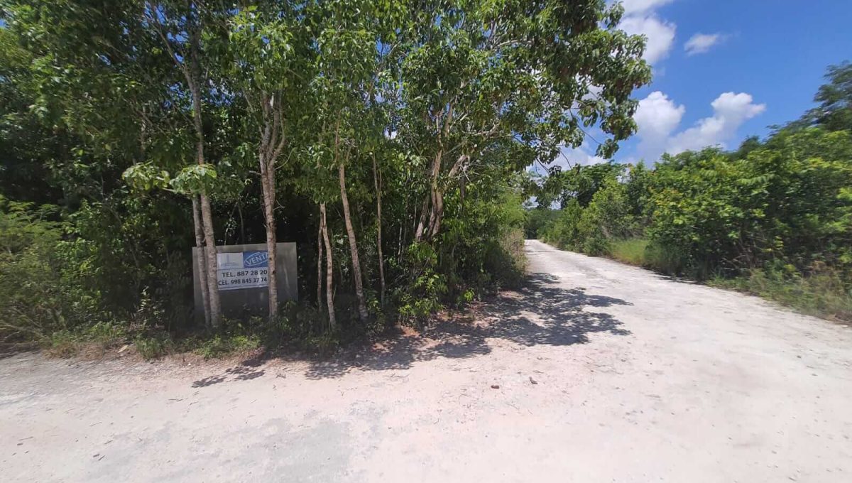 Abedules y Cipres Alamos II 2022-07-28 at 12.11.20 PM (2)