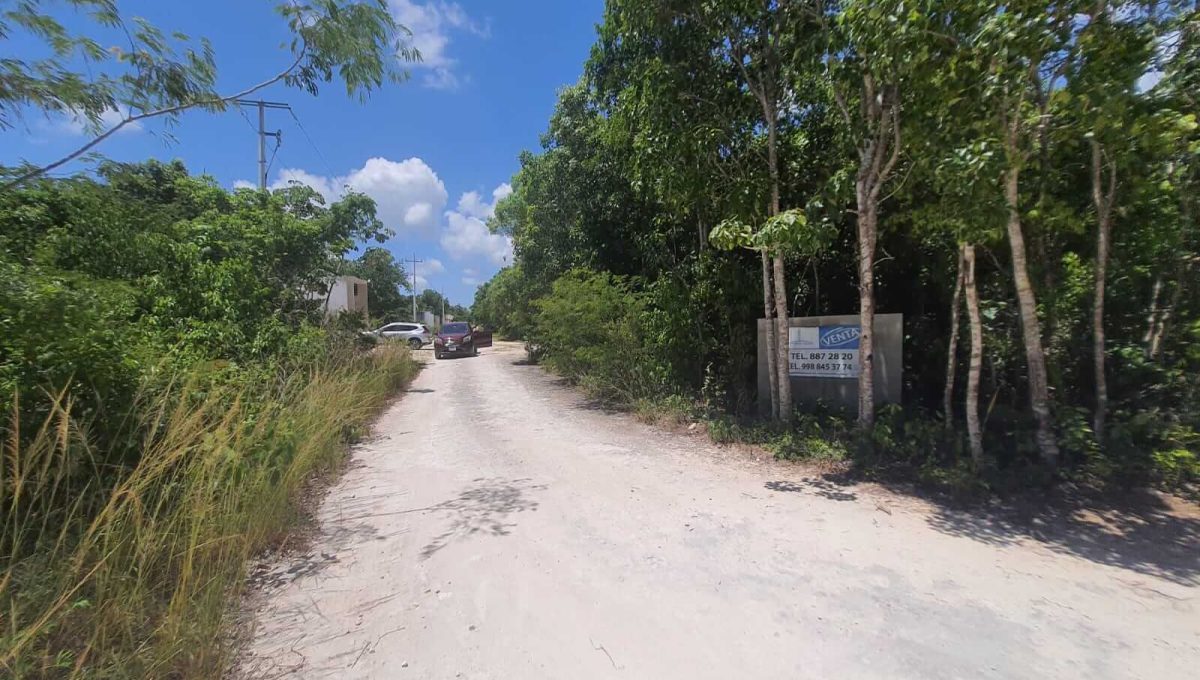 Abedules y Cipres Alamos II 2022-07-28 at 12.11.20 PM (3)