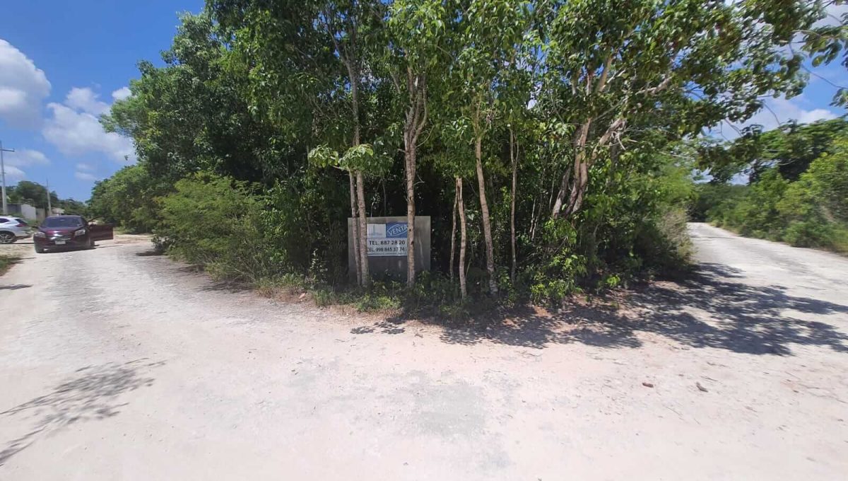 Abedules y Cipres Alamos II 2022-07-28 at 12.11.21 PM (1)