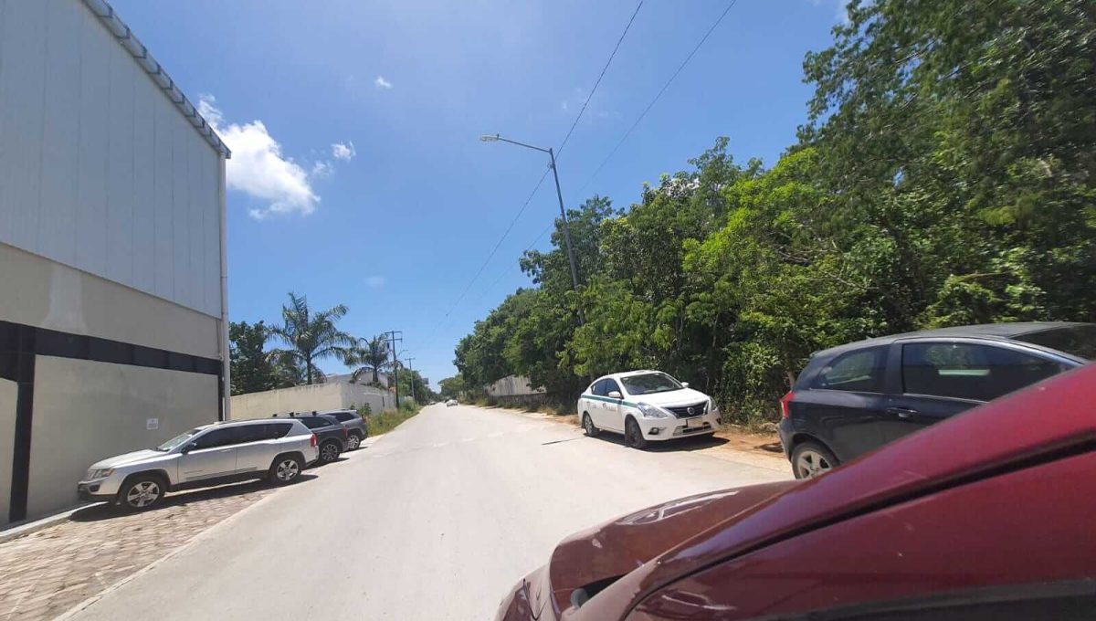 Abedules y Cipres Alamos II 2022-07-28 at 12.11.21 PM (4)