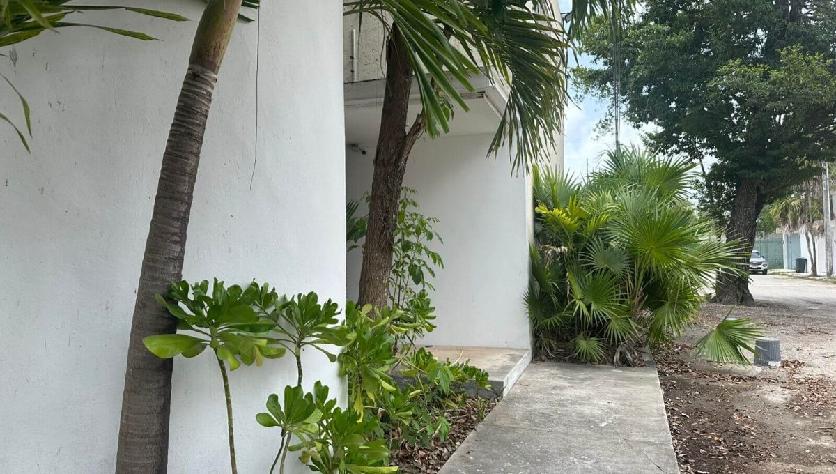 Alamos II Almendros 2025-05-30 at 11.19.50 AM