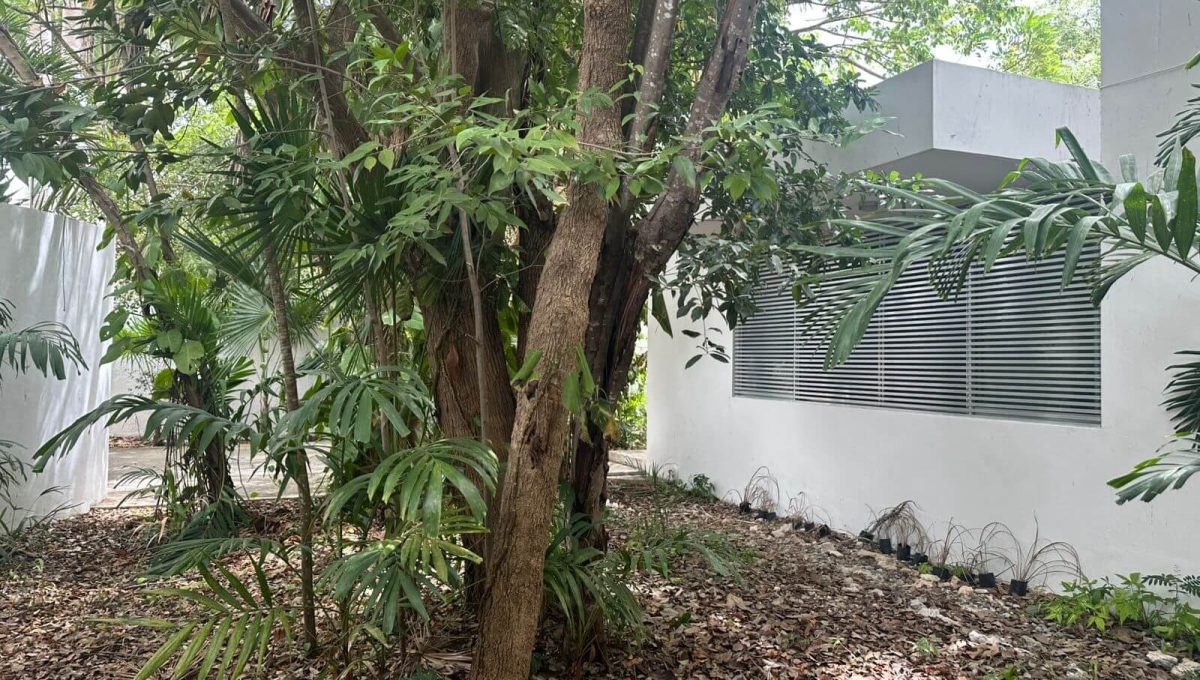 Alamos II Almendros 2025-05-30 at 11.19.50 AM-2