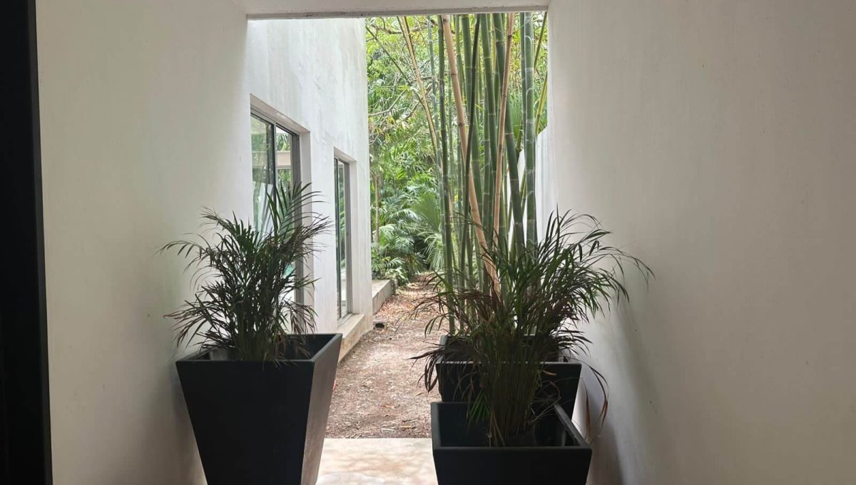 Alamos II Almendros 2025-05-30 at 11.19.50 AM-3