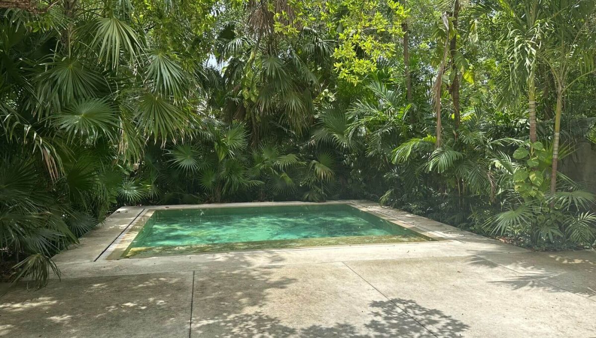 Alamos II Almendros 2025-05-30 at 11.19.51 AM-2