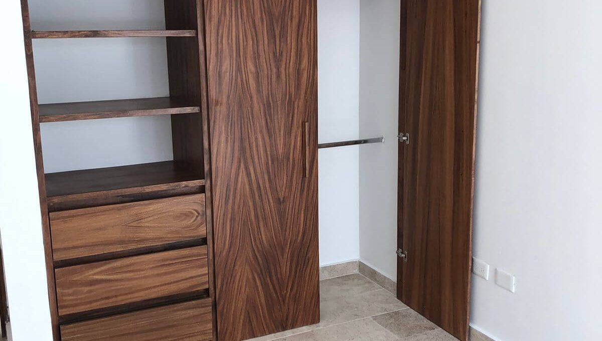 Arbolada Sabino 2025-02-17 at 10.13.29 AM-3