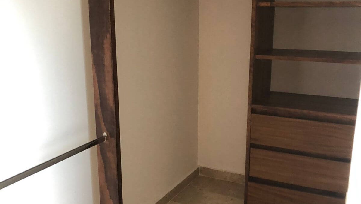 Arbolada Sabino 2025-02-17 at 10.13.29 AM-5