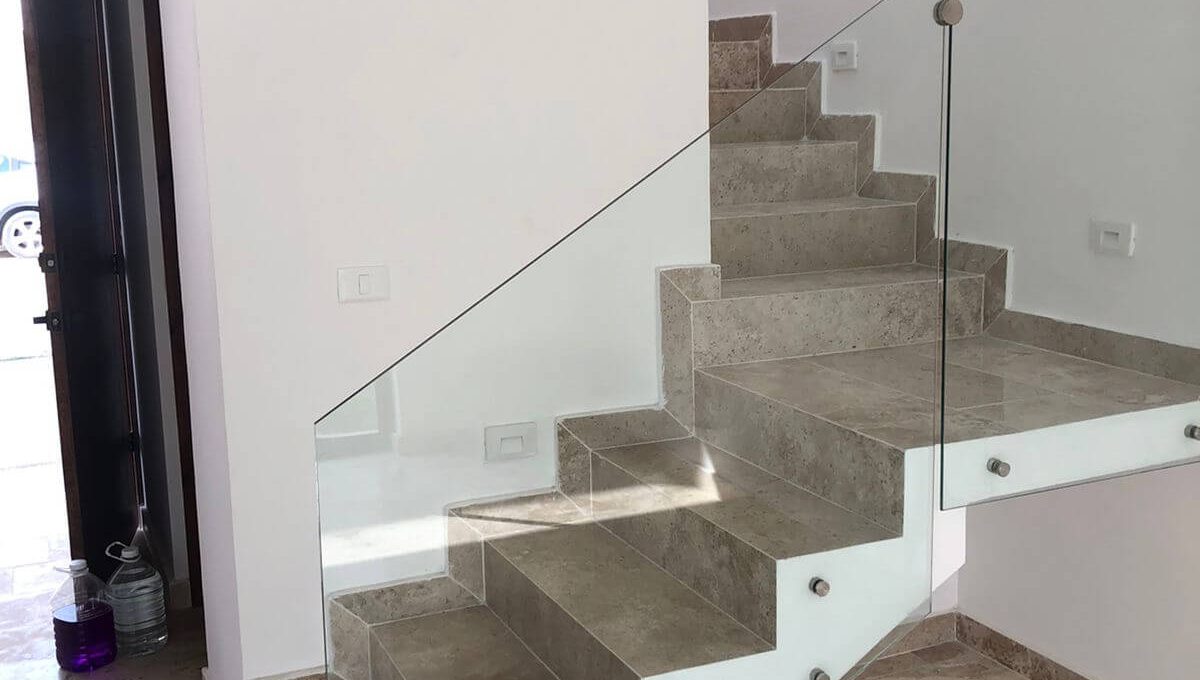 Arbolada Sabino 2025-02-17 at 10.13.29 AM-8