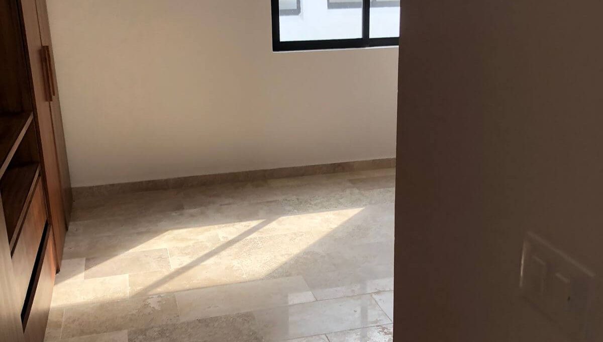 Arbolada Sabino 2025-02-17 at 10.13.30 AM