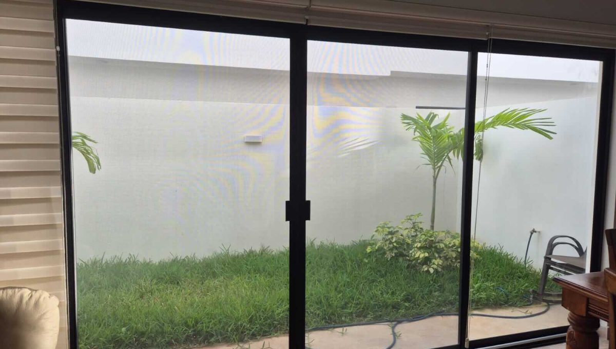 Arbolada Sabino 2025-02-17 at 10.13.30 AM-4