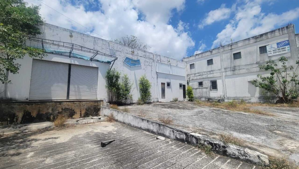 Bodega Reg. 92 2025-04-28 at 12.27.54 PM-4