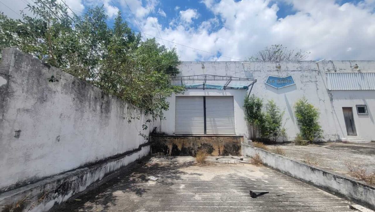 Bodega Reg. 92 2025-04-28 at 12.27.55 PM