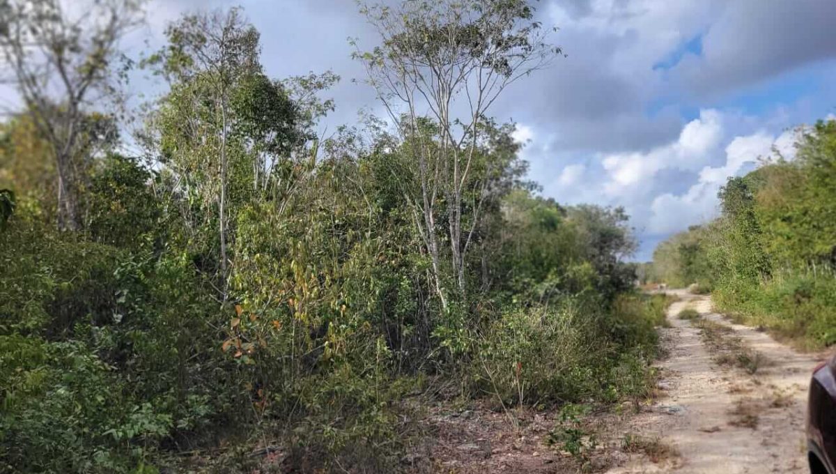 Doctores Alfonso Alarcón 2024-03-19 at 4.50.05 PM (2)