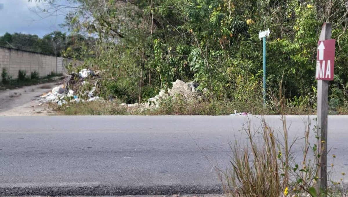 Doctores Alfonso Alarcón 2024-03-19 at 4.50.05 PM (4)