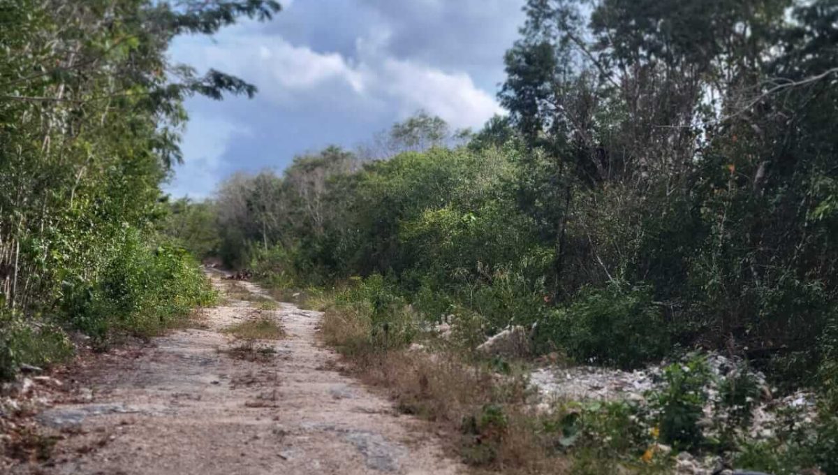 Doctores Alfonso Alarcón 2024-03-19 at 4.54.43 PM (1)