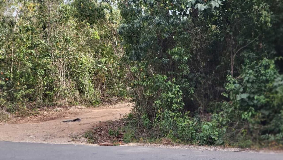 Doctores Alfonso Alarcón 2,500 mts-2024-03-19-at-4.54.43-PM