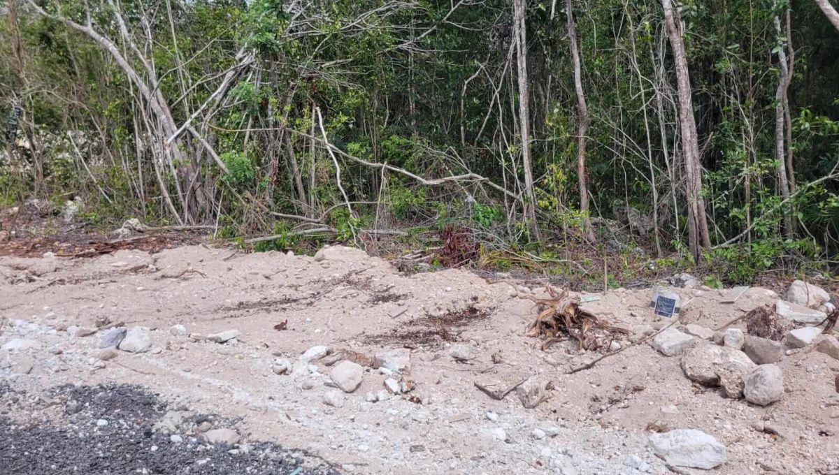 Doctores Felipe Amaro 2024-03-22 at 5.33.10 PM (1)