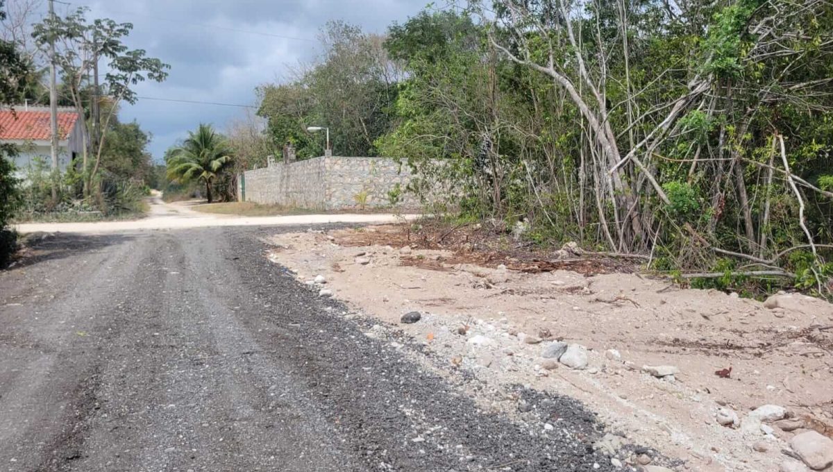 Doctores Felipe Amaro 2024-03-22 at 5.33.10 PM