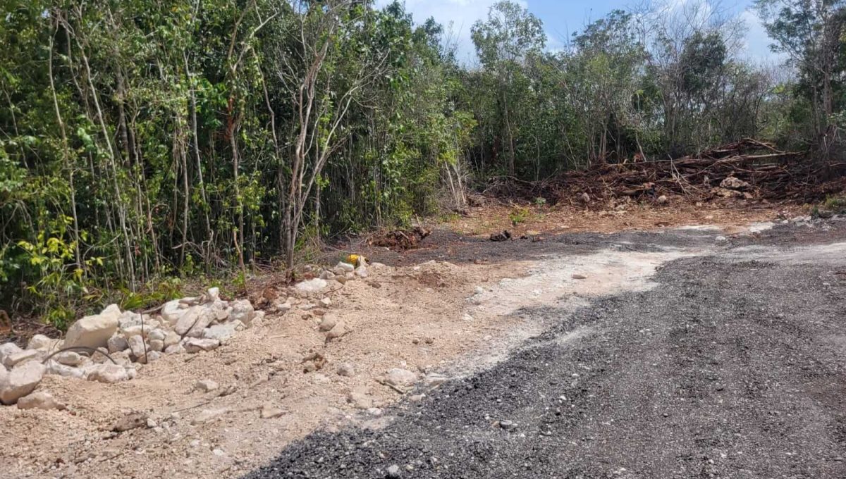 Doctores Felipe Amaro 2024-03-22 at 5.33.30 PM (1)