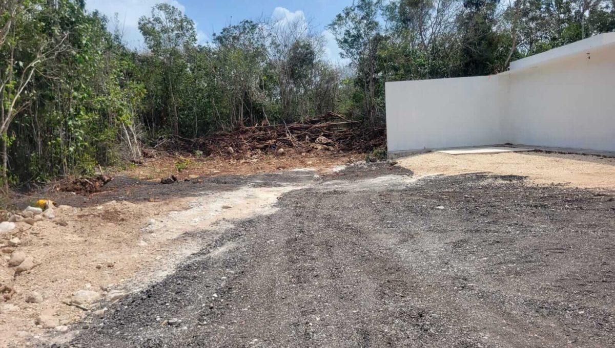 Doctores Felipe Amaro 2024-03-22 at 5.33.30 PM