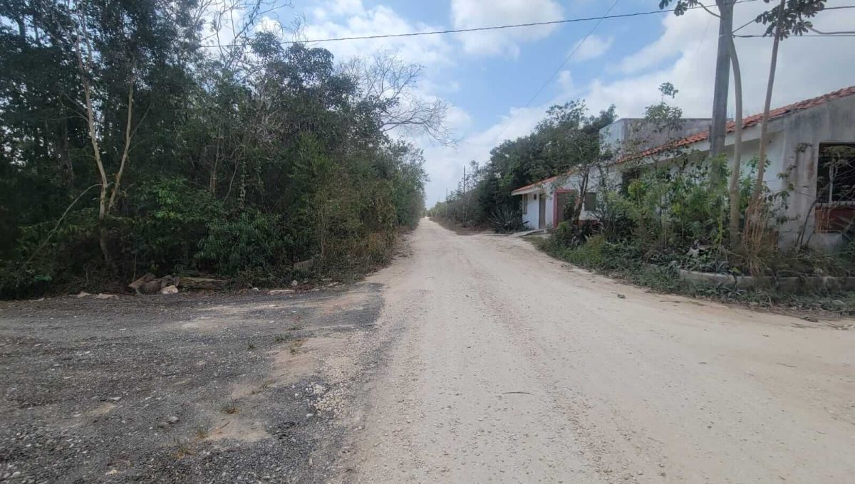 Doctores Felipe Amaro 2024-03-22 at 5.33.30 PM (2)