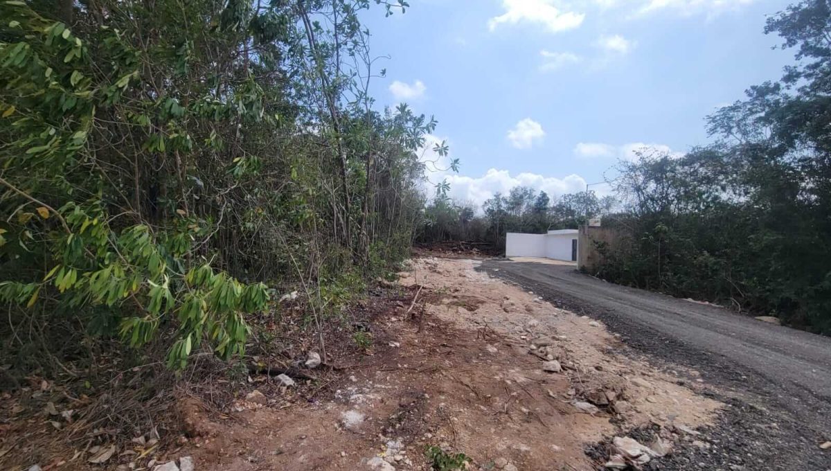 Doctores Felipe Amaro 2024-03-22 at 5.33.30 PM (3)