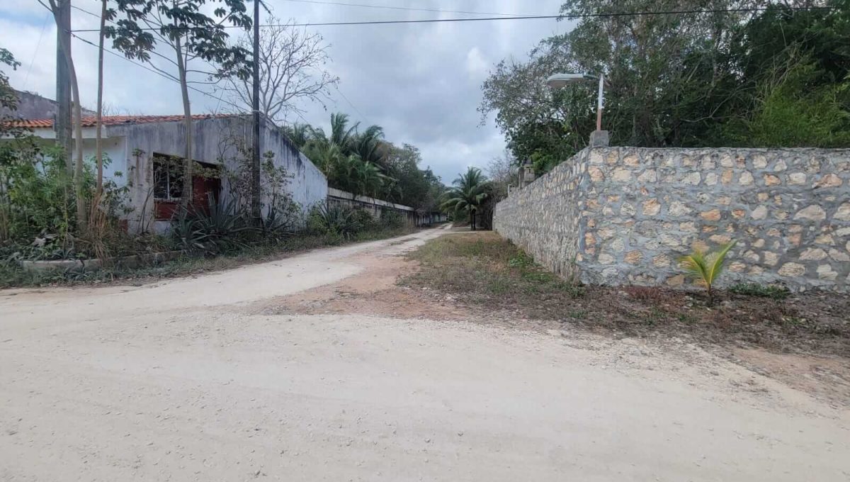 Doctores Felipe Amaro 2024-03-22 at 5.33.30 PM (4)