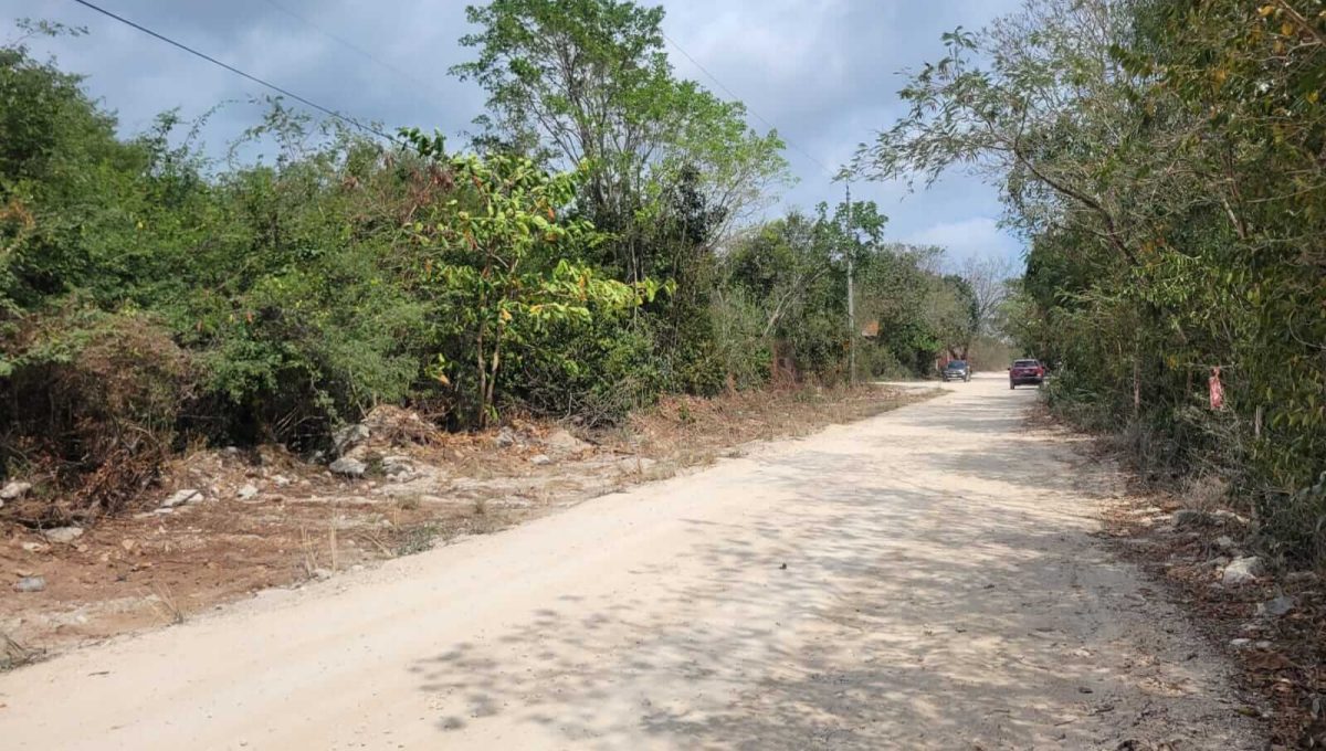 Doctores Felipe Amaro 2024-03-22 at 5.33.31 PM (2)