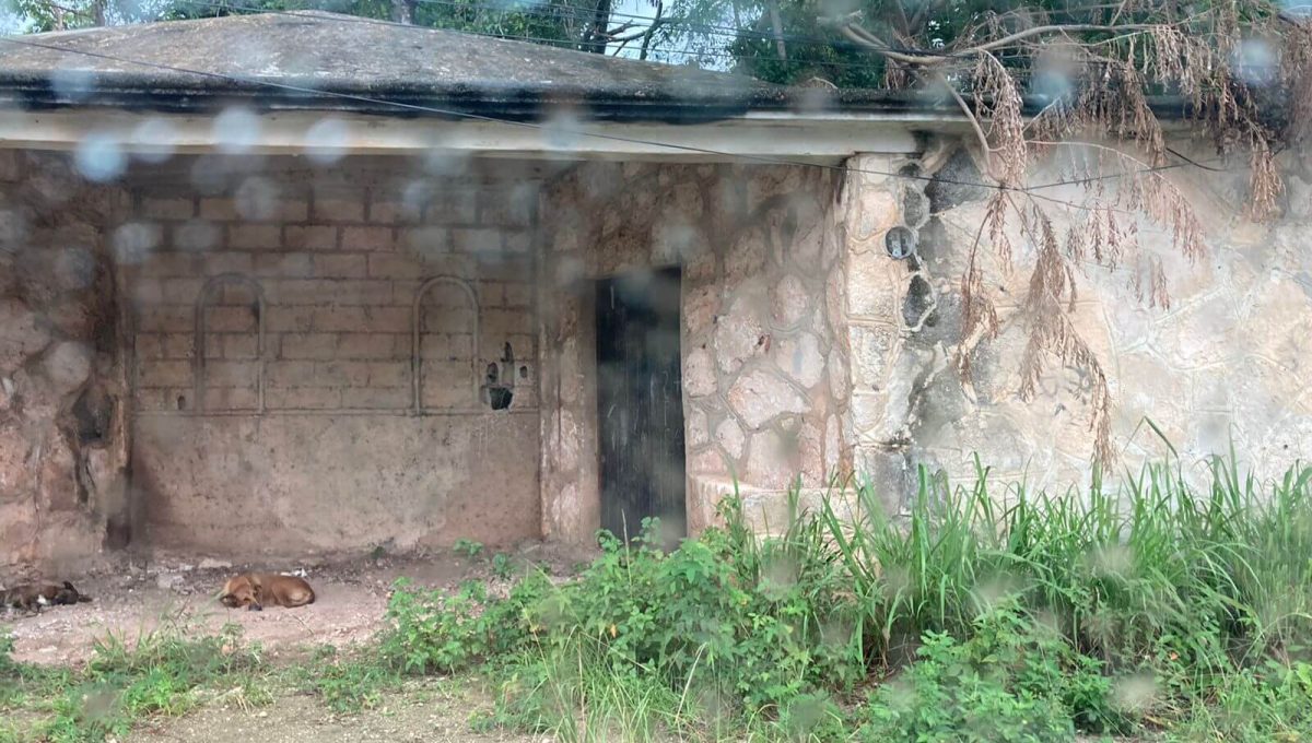 Doctores Luis Donaldo Colosio 2024-07-23 at 12.05.23 PM-2