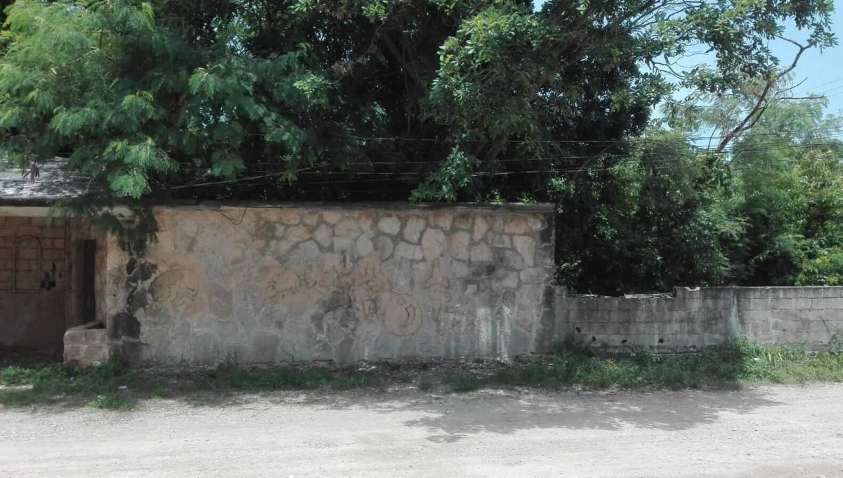 Doctores Luis Donaldo Colosio 2024-07-23 at 12.05.24 PM