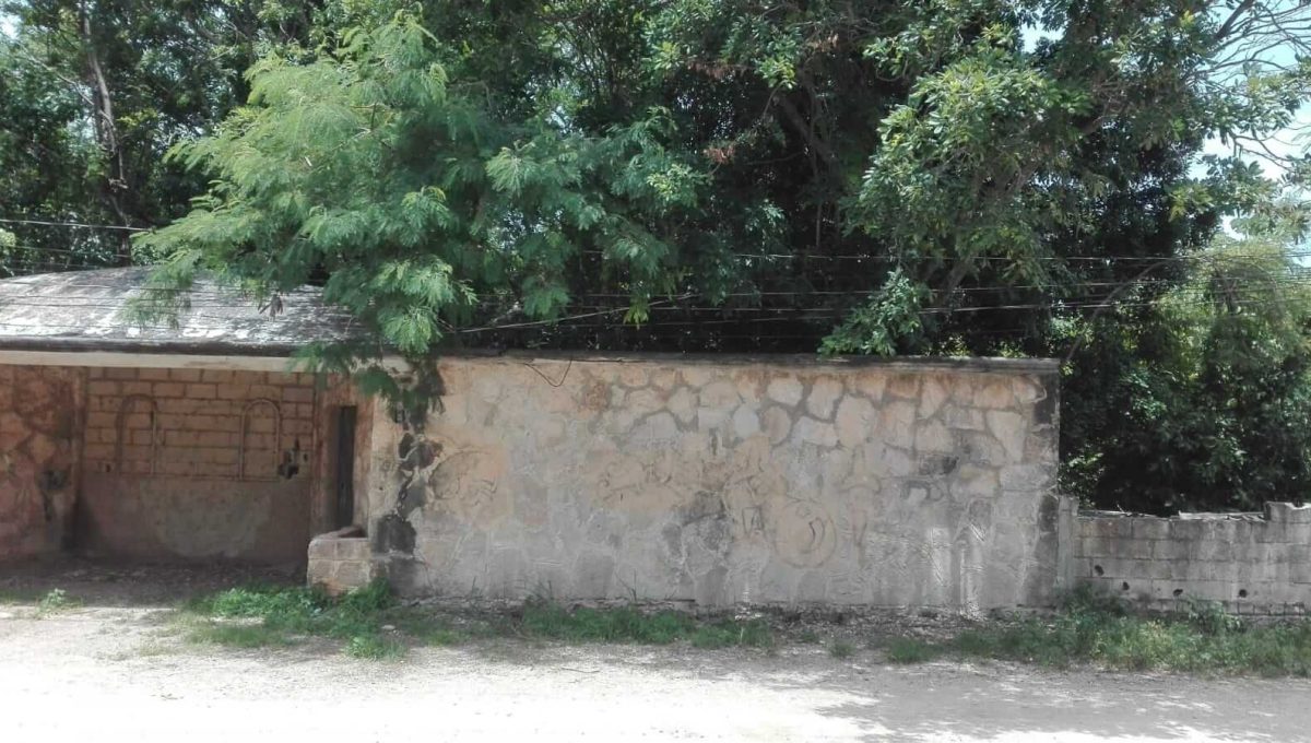 Doctores Luis Donaldo Colosio 2024-07-23 at 12.05.24 PM-2