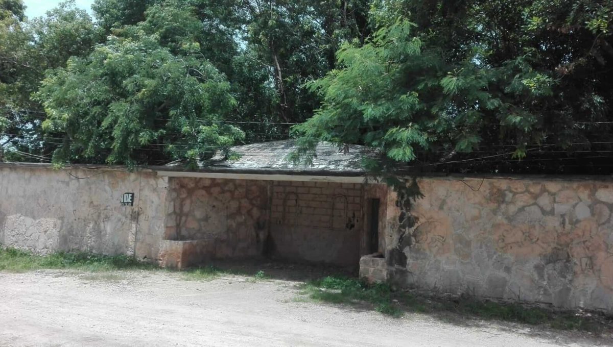 Doctores Luis Donaldo Colosio 2024-07-23 at 12.05.24 PM-3