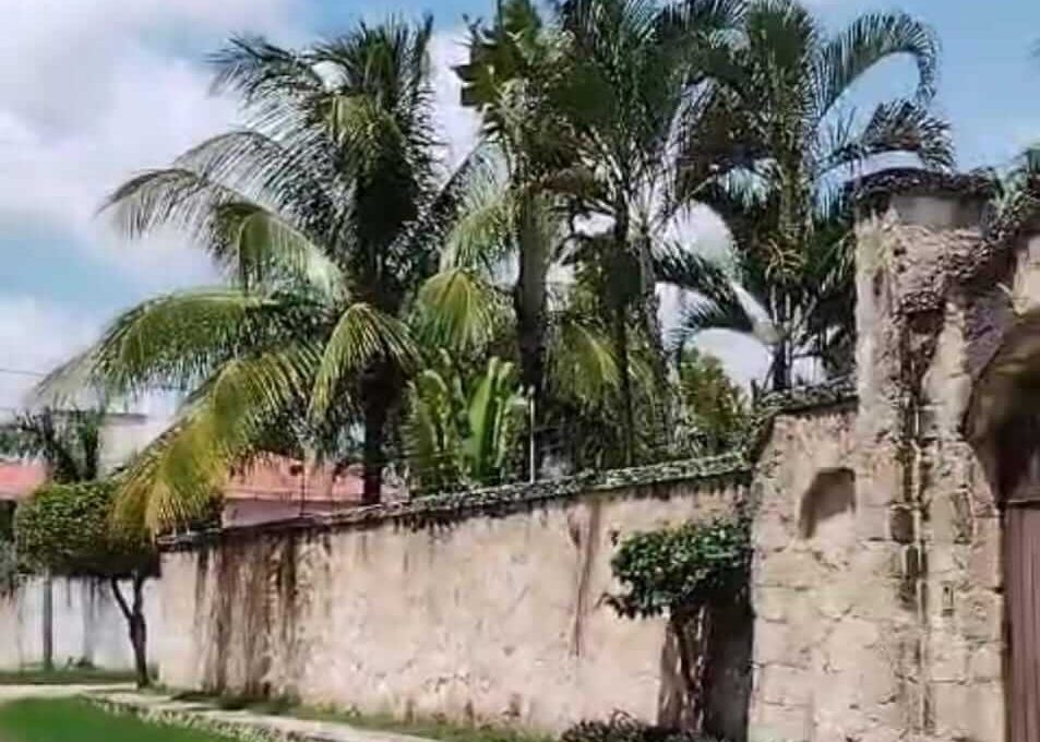 Doctores Luis Donaldo Colosio 2024-07-23 at 2.13.57 PM-2