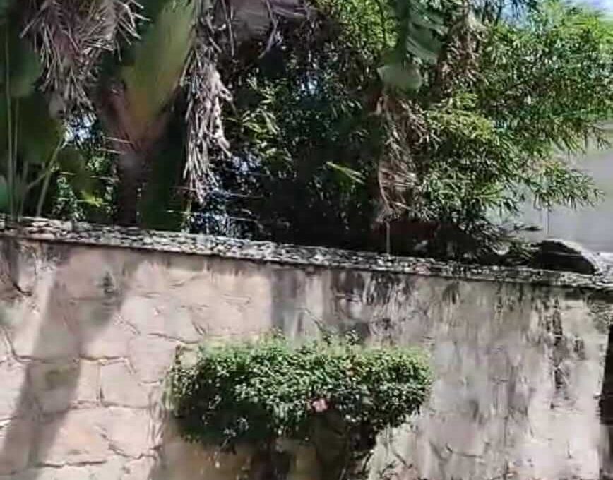 Doctores Luis Donaldo Colosio 2024-07-23 at 2.13.57 PM-4