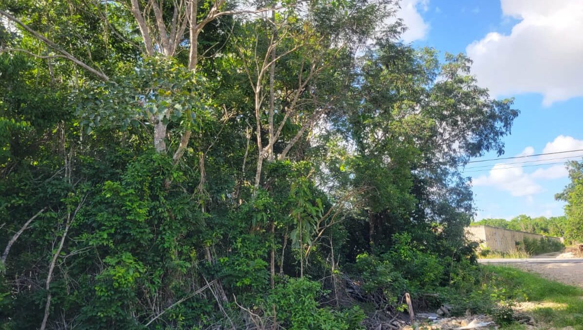 Doctores Rogelio Castorena 1-3