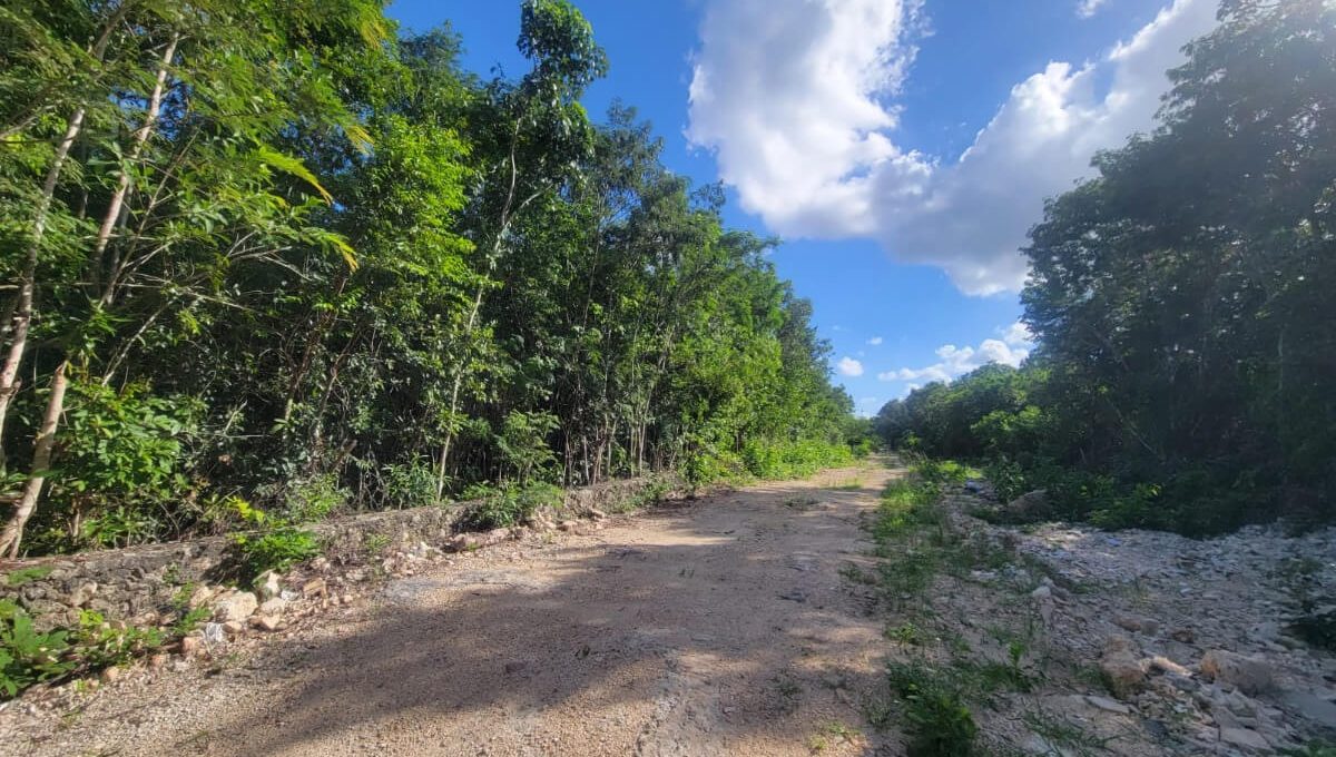 Doctores Rogelio Castorena 6-3