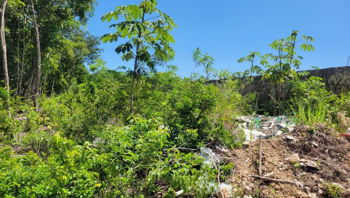 Doctores Rogelio Castorena MLM72289084403_102023-F