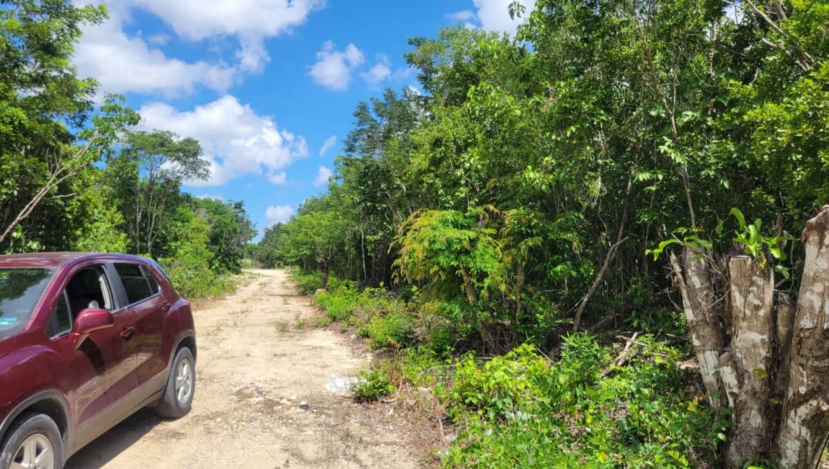 Doctores Rogelio Castorena MLM72289546825_102023-F