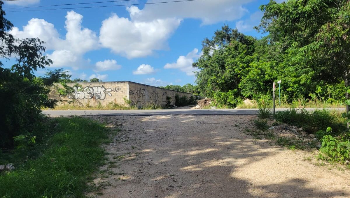 Doctores Rogelio Castorena MLM72576922245_102023-F