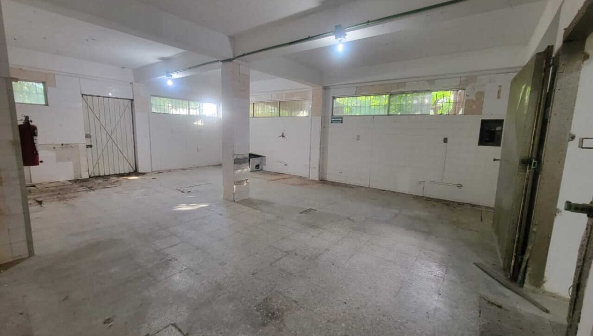 Edificio:Bodega Reg. 92 2024-09-07 at 9.57.19 AM