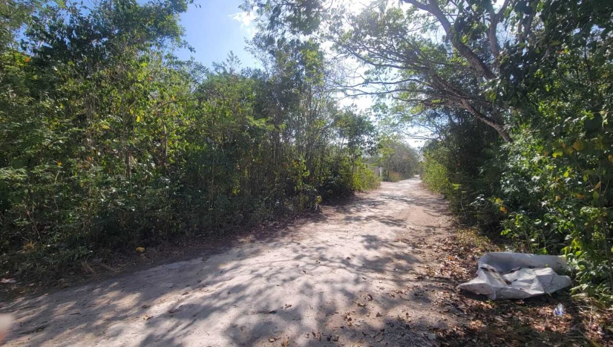 Esq. Flamboyanes Alamos II 2024-04-02 at 2.22.44 PM