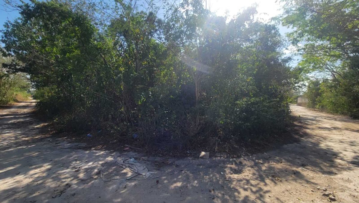 Esq. Flamboyanes Alamos II 2024-04-02 at 2.22.44 PM (3)