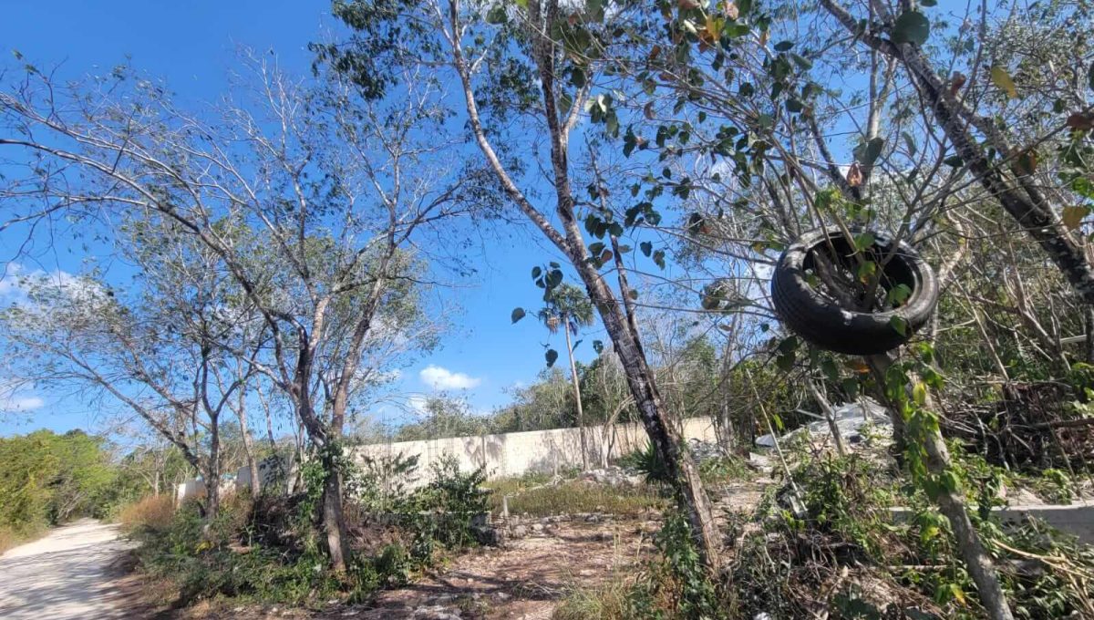 Esq. Flamboyanes Alamos II 2024-04-02 at 2.22.45 PM