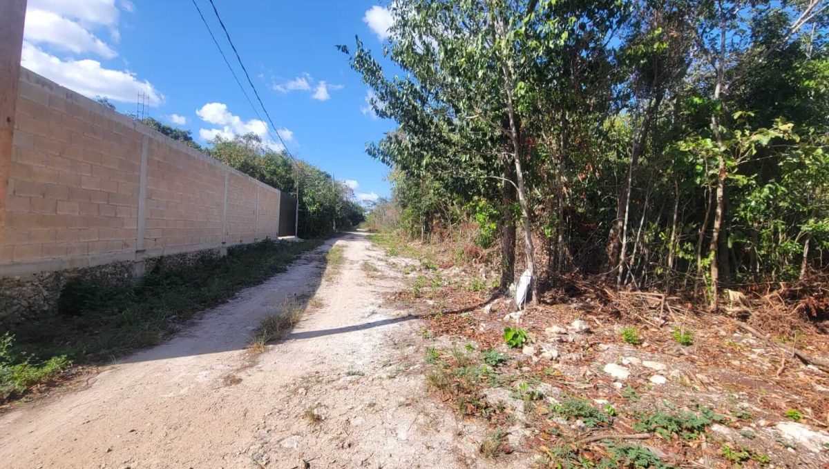 Esq. Flamboyanes Alamos II 2024-04-02 at 2.22.45 PM (2)