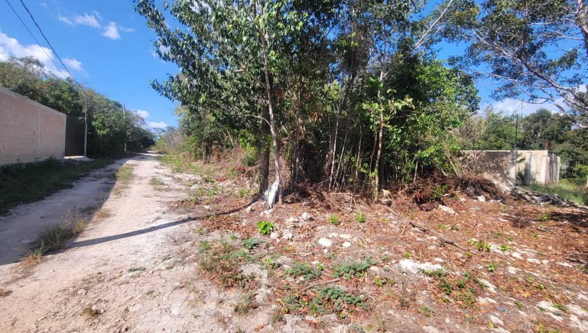 Esq. Flamboyanes Alamos II 2024-04-02 at 2.22.45 PM (3)