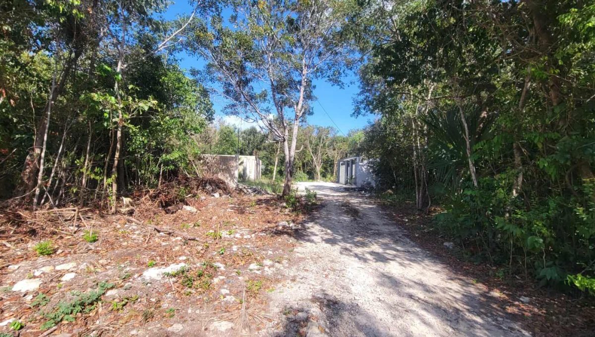 Esq. Flamboyanes Alamos II 2024-04-02 at 2.22.45 PM (4)