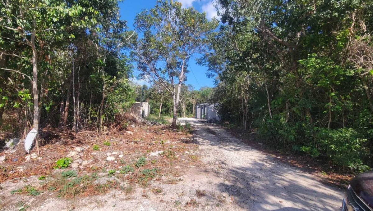 Esq. Flamboyanes Alamos II 2024-04-02 at 2.22.45 PM (5)