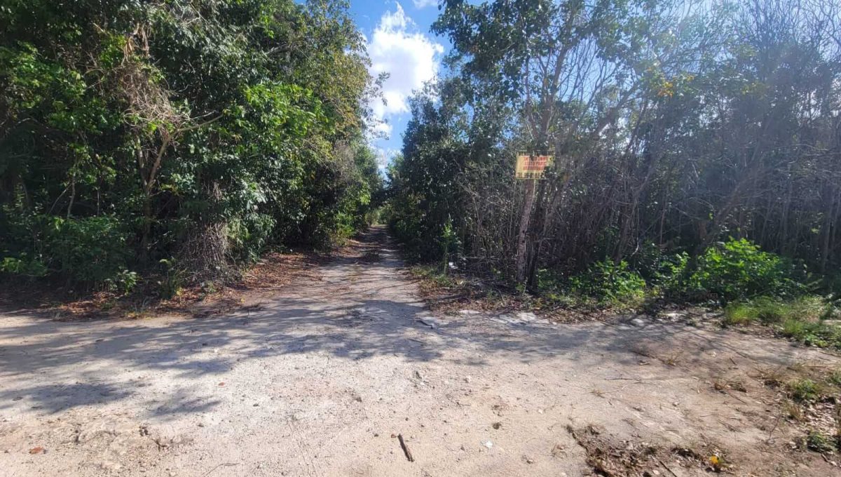 Esq. Flamboyanes Alamos II 2024-04-02 at 2.22.46 PM (2)