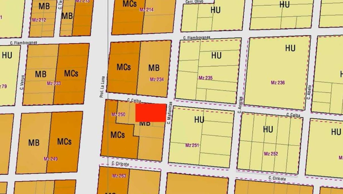 Flamboyanes y Mañanitas -2024-05-17-at-1.48.55-PM