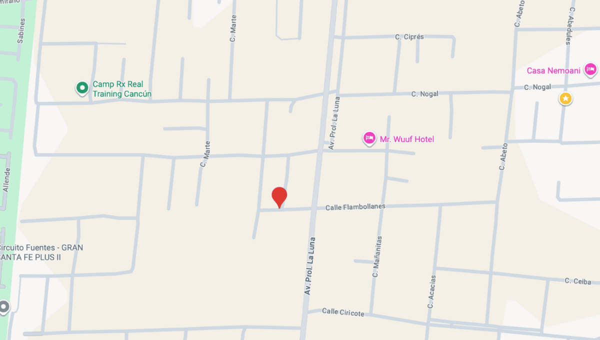 Flamboyanes y Venus -4